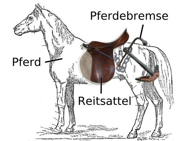 Beschriftetes Bild von Pferd mit Reitsattel und Pferdebremse (Variante Anker)