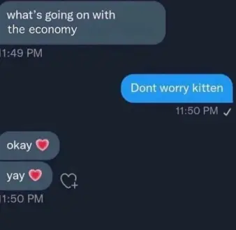 Text conversation. Person 1 : "what's going on with the economy?" Person 2: "Don't worry kitten." Person 1: "okay ❤️", "yay ❤️".